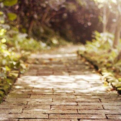 万博娱乐登陆截图